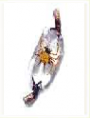 /album/naramky/seria-sl160-png/